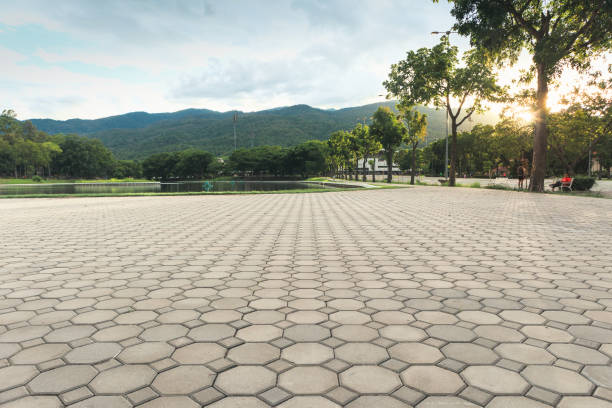 Best Best Driveway Pavers  in Westminster, TX