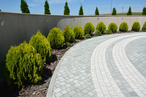 Best Concrete Paver Driveway  in Westminster, TX